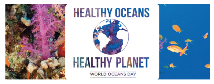 Take Action on World Oceans Day - June 8