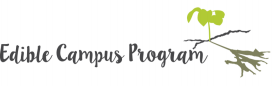 UCSB Edible Campus Program