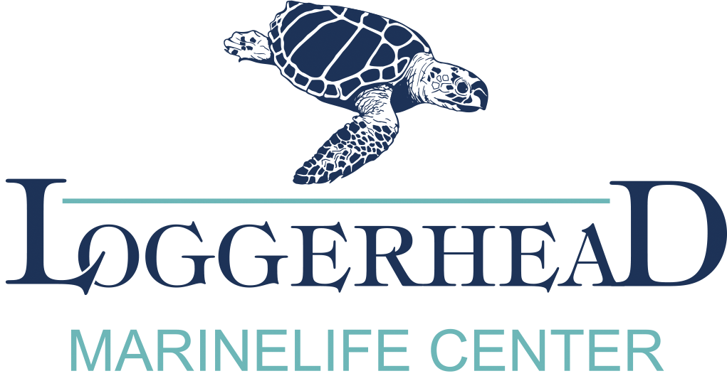 Loggerhead Marinelife Center