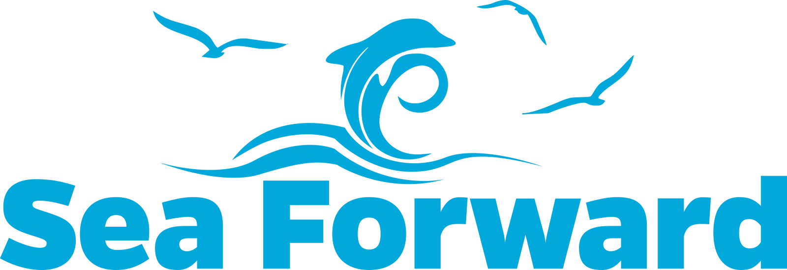 Sea Forward Ocean Health Fund